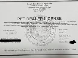 dealer license