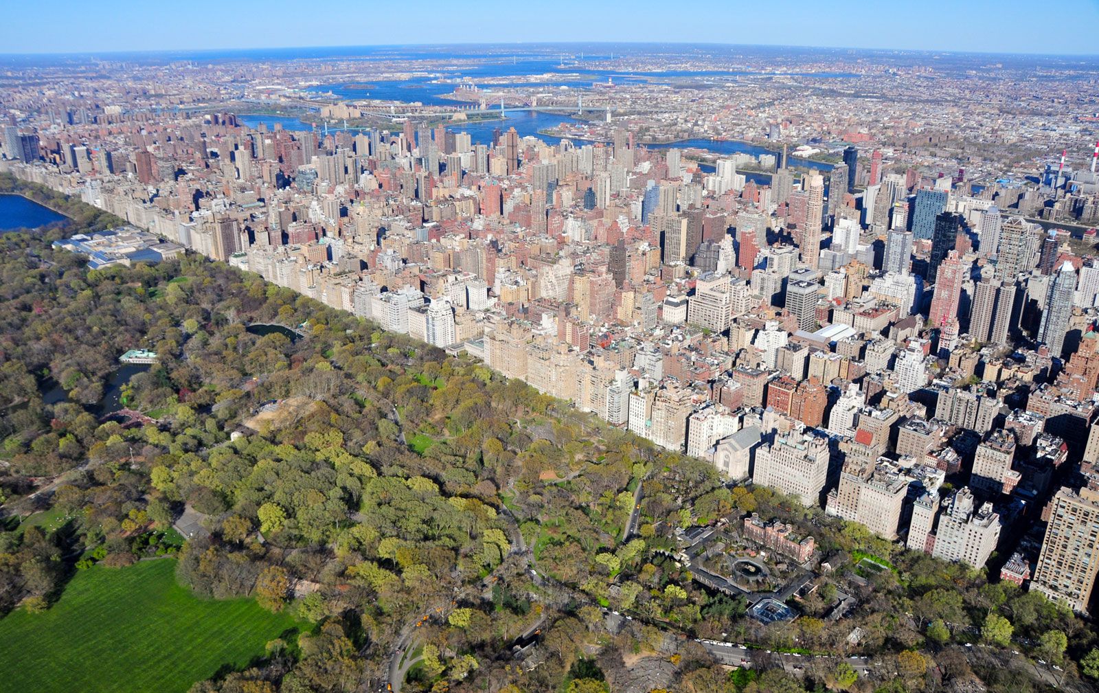 the new york
