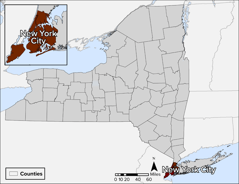 in new york state